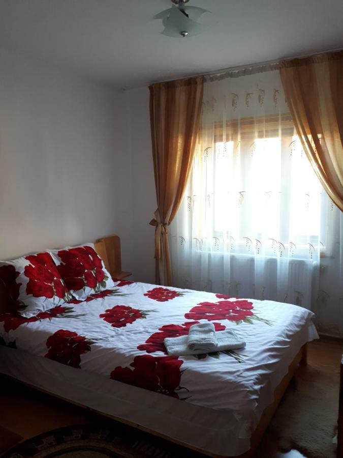 Casa Fetic Apartment เนโฮลู ภายนอก รูปภาพ
